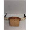 Image 3 : Mounted Bull Horns - 30x15x9" - PICK UP ONLY