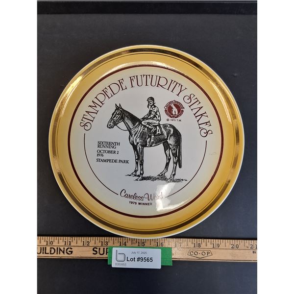 Hycroft Medicine Hat Decorative Plate - Horse Racing Stampede Park - 10.5"