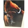 Image 2 : Bison Art Print - 13" x 19"