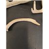 Image 4 : (3) Deer Antler Sheds - 10" & 8" x 6" Wide
