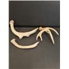 Image 5 : (3) Deer Antler Sheds - 10" & 8" x 6" Wide