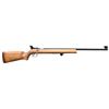 Image 1 : SAVAGE - ANSCHUTZ MARK 10D BOLT ACTION RIFLE.