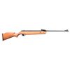 Image 1 : CROSMAN QUEST 1000 C1K77 AIR RIFLE.
