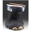 Image 1 : REAL ELEPHANT FOOT MADE INTO A FOOT STOOL OR