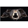 Image 2 : BLACK BEAR RUG.
