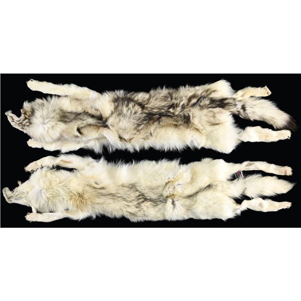 2 ARTIC WOLF PELTS.