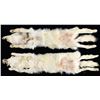 Image 2 : 2 ARTIC WOLF PELTS.
