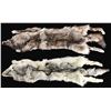 Image 1 : 2 ARTIC WOLF PELTS.