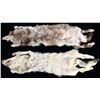 Image 2 : 2 ARTIC WOLF PELTS.