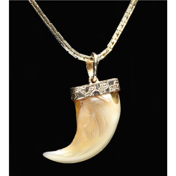GOLD CHAIN WITH ANIMAL TOOTH PENDANT.
