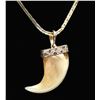Image 1 : GOLD CHAIN WITH ANIMAL TOOTH PENDANT.