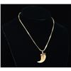 Image 2 : GOLD CHAIN WITH ANIMAL TOOTH PENDANT.