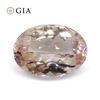 Image 2 : Amazing 1.5 Ct GIA Certified Natural Topaz