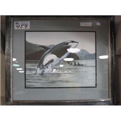 Print "orca" By Liz Mitten Ryan