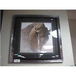 Print "chief Bison" By Robert Bateman