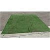 Image 1 : Pair of Artificial Turf Mats