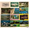 Image 2 : Georgia - North Carolina - South Carolina Postcards Approx. 500