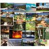 Image 1 : Hawaii Postcards 200+