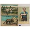 Image 1 : Novelty - Wire Tail Postcards 6