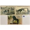 Image 2 : Novelty - Wire Tail Postcards 6