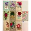 Image 2 : Novelty - Velvet Postcards 20+