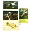 Image 1 : Moons & Sunset Postcards Approx. 115