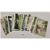 Image 2 : Mississippi Court House Postcards 13