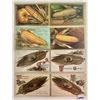 Image 1 : Thanksgiving Holiday Greeting Postcards Approx. 38