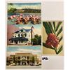 Image 1 : Linen USA View Postcards Approx. 450