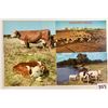 Image 1 : Dairy & Related 150+ Postcards