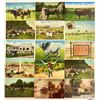 Image 2 : Dairy & Related 150+ Postcards