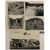 Image 3 : Ezra Meeker Black & White Postcards 16