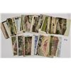 Image 3 : Businesses - Factories - Industry Postcards 50+