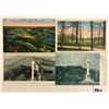 Image 3 : Chattanooga, Tennessee Postcards 400+