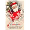 Image 2 : Clapsaddle Santa Claus in Bushes Holiday Christmas Postcards 4