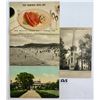 Image 1 : Partially Sorted Long Island, New York Postcards 250+