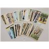 Image 2 : Yellowstone National Park Postcards Approx. 60