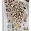 Image 8 : Group of 250+ Tobacco Cards