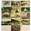 Image 2 : Alligator Postcards 55+