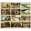 Image 2 : Yellowstone National Park Postcards Approx. 130