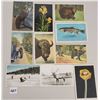 Image 2 : Yellowstone National Park - Animals - Fish - Flower Postcards Approx. 45