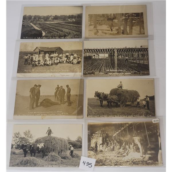 Real Photo Farming & Related Postcards 11