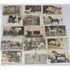 Image 2 : Real Photo Horses 25 Postcards