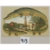 Image 1 : Alligator Border S547 The Cathedral & Plaza, St. Augustine, Florida Postcard