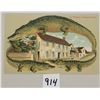Image 1 : Alligator Border S550 The Museum, St. Augustine, Florida Postcard