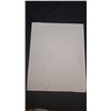 Image 2 : Vintage cardboard Trailways advertisement 30"x24"