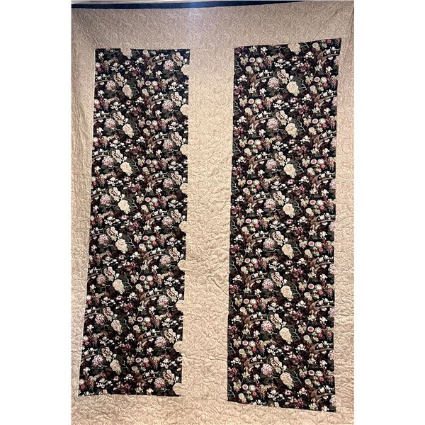 Nature Through the Window