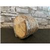 Image 3 : Pack of 10 Round Wood Pieces for Crafts