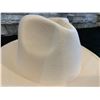 Image 4 : Wide Brim Fedora Hat