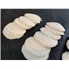 Image 4 : Scallop Shells for Crafts 4" to 5" 20 Pack